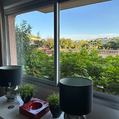 - 40 M2 サントロペ